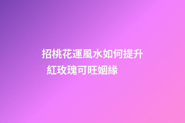 招桃花運風水如何提升  紅玫瑰可旺姻緣